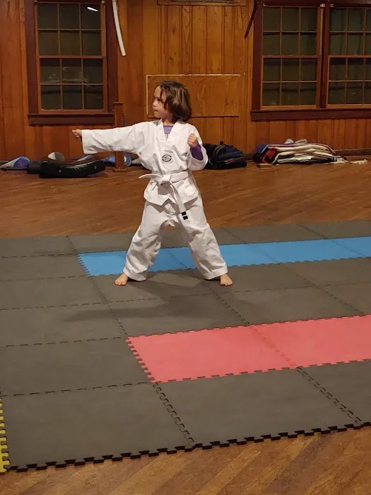 SRE Taekwondo: School of Martial Arts Picture 3