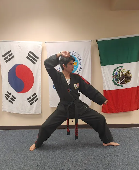 SRE Taekwondo: School of Martial Arts Picture 7