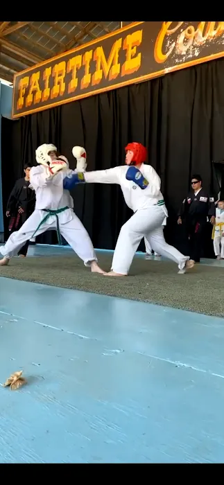 SRE Taekwondo: School of Martial Arts Picture 9
