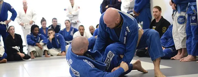 The Academy of Jiu-Jitsu Picture 8