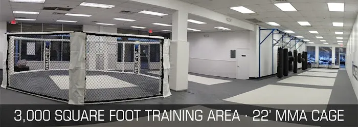 The Academy of Jiu-Jitsu Picture 6