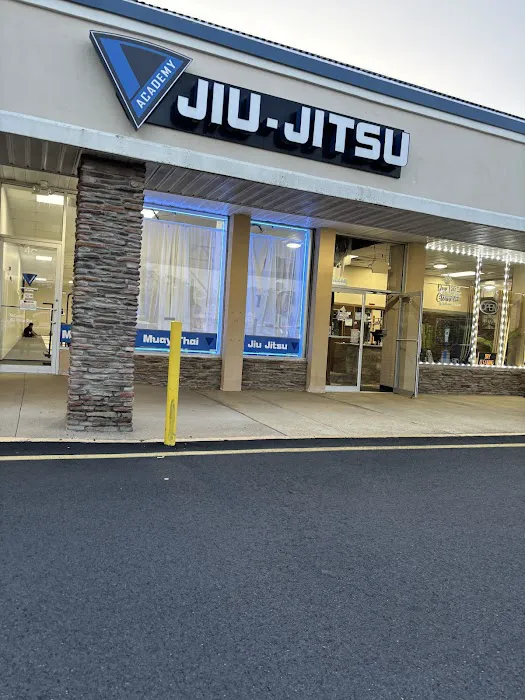 The Academy of Jiu-Jitsu Picture 3