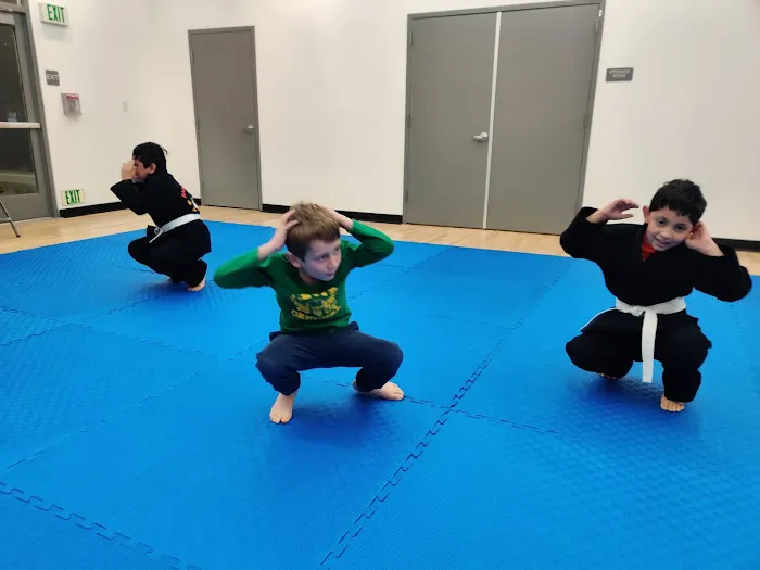 Peninsula Kajukenbo Karate Picture 8