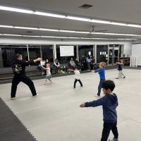 Peninsula Kajukenbo Karate ico