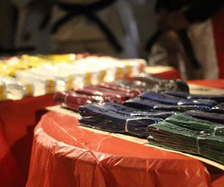 Professional Karate Institute Mixed Martial Arts