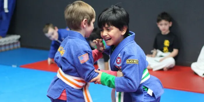 Professional Karate Institute Mixed Martial Arts Picture 3