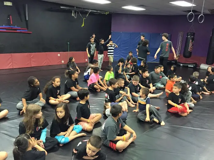Professional Karate Institute Mixed Martial Arts Picture 10