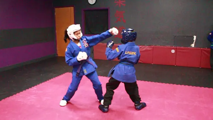Professional Karate Institute Mixed Martial Arts Picture 9