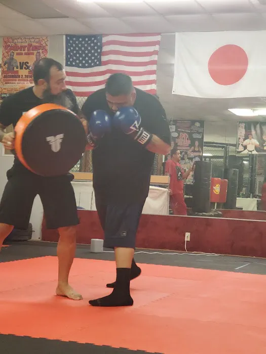 Fighting Warrior Karate Dojo Picture 6