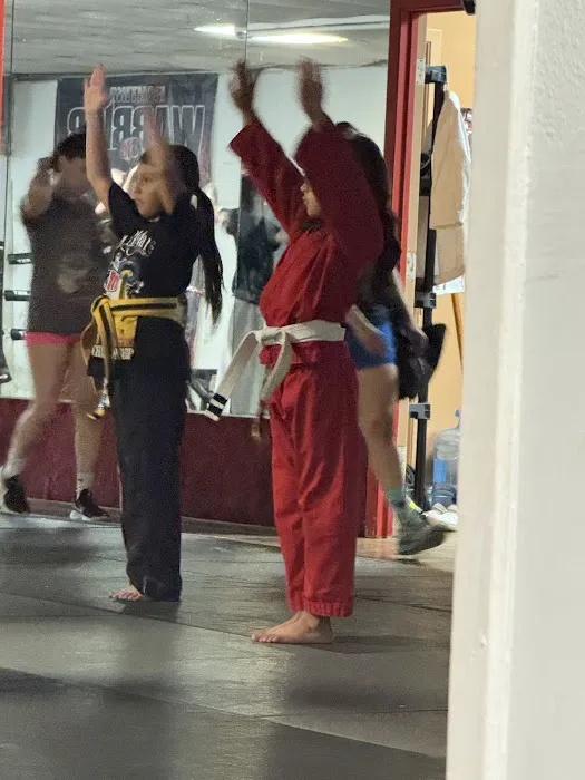 Fighting Warrior Karate Dojo Picture 4