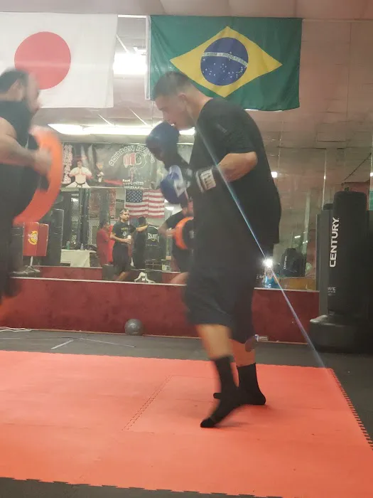 Fighting Warrior Karate Dojo Picture 3