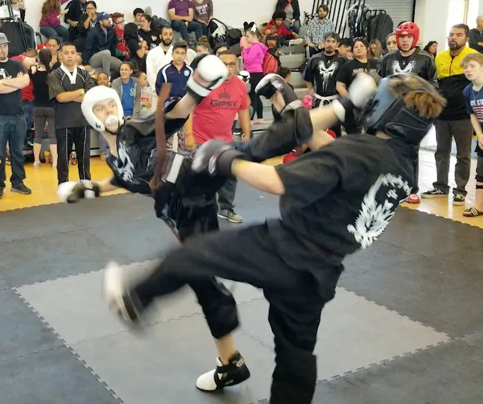 Fighting Warrior Karate Dojo Picture 10