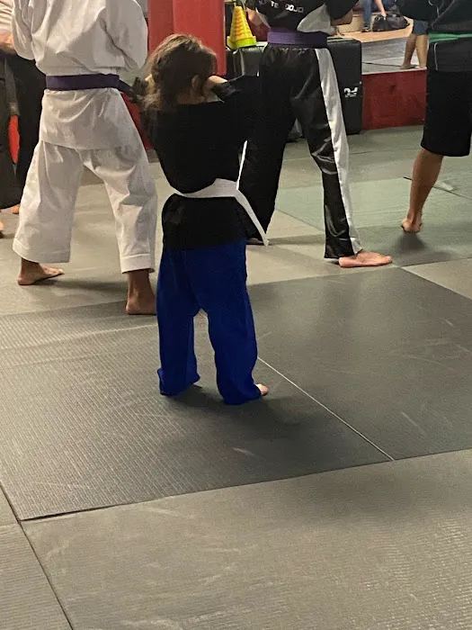 Fighting Warrior Karate Dojo Picture 2