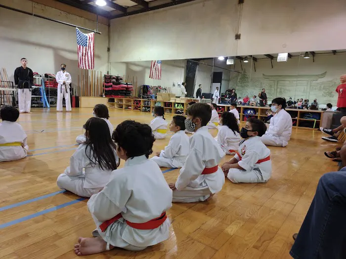 S A Kids Karate Picture 8
