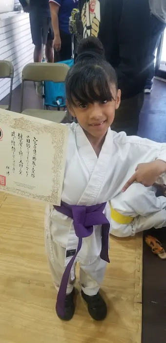 S A Kids Karate Picture 10