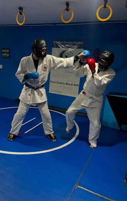 Cephas Karate-Jujitsu Elite Picture 10