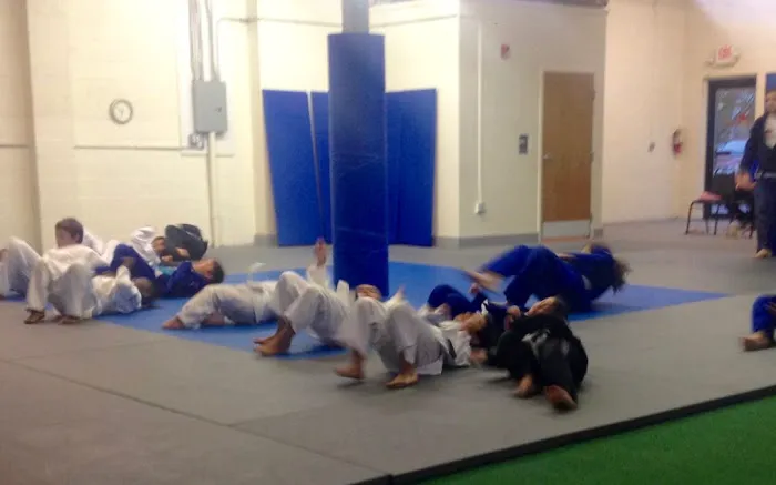 Spartan Mixed Martial Arts | BJJ, Muay Thai Kickboxing Picture 2