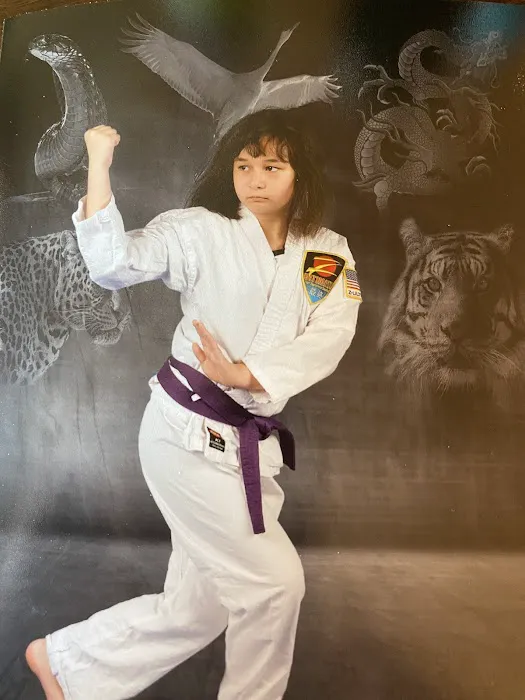 Zen Dragon Martial Arts Kirkland Picture 3