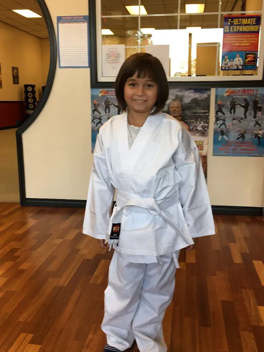 Zen Dragon Martial Arts Kirkland Picture 1