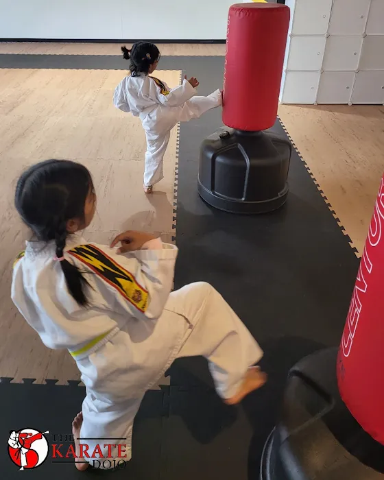 The Karate Dojo Picture 10