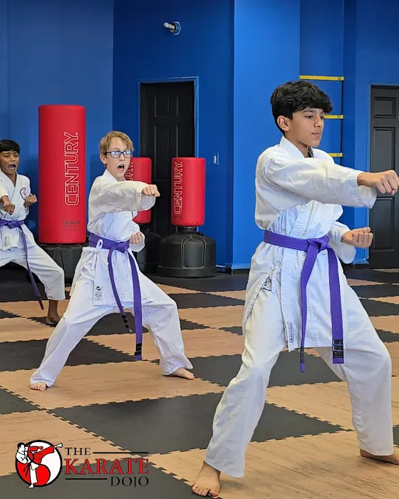 The Karate Dojo Picture 8