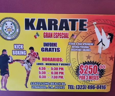 Vi's Karate Do School