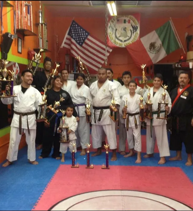 Vi's Karate Do School Picture 9