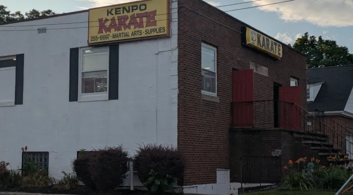 Doyle's American Karate Academy Picture 1