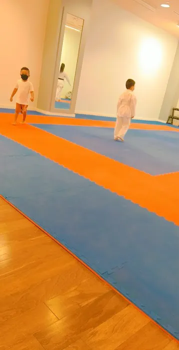 Touati Elite Karate Club Picture 1
