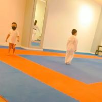 Touati Elite Karate Club ico