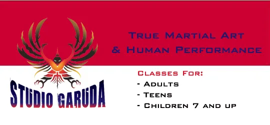 Studio Garuda Martial Arts & Human Performance Picture 1