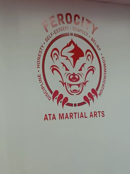 Ferocity ATA Martial Arts Picture 5