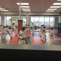 Ferocity ATA Martial Arts ico