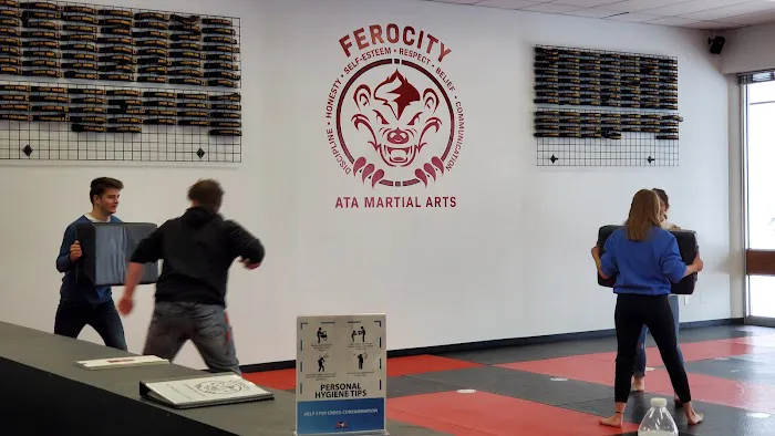 Ferocity ATA Martial Arts Picture 4