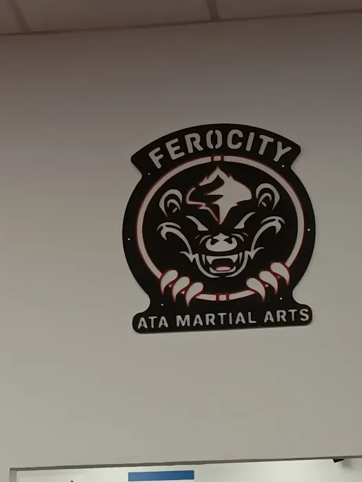 Ferocity ATA Martial Arts Picture 6