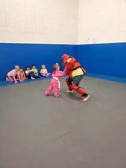 Martial Arts Academy Picture 3