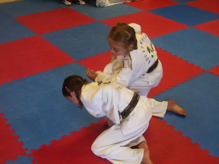 Southwick Black Belt Academy Picture 1