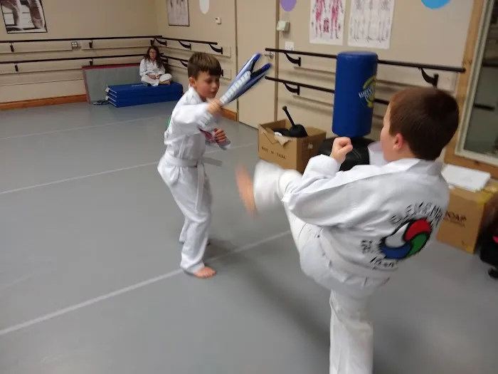 Elemental Taekwondo Picture 2