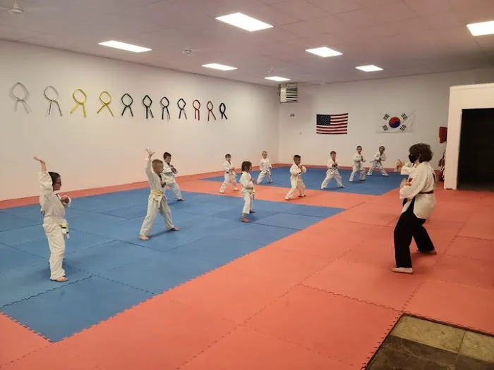 Elemental Taekwondo Picture 5