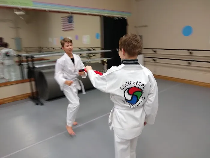 Elemental Taekwondo Picture 10