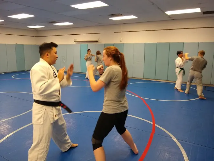 Elemental Taekwondo Picture 8