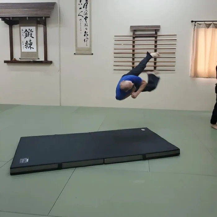 Idaho Falls Shoshin Ryu Martial Arts Picture 6