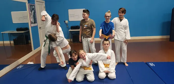 Idaho Falls Shoshin Ryu Martial Arts Picture 2
