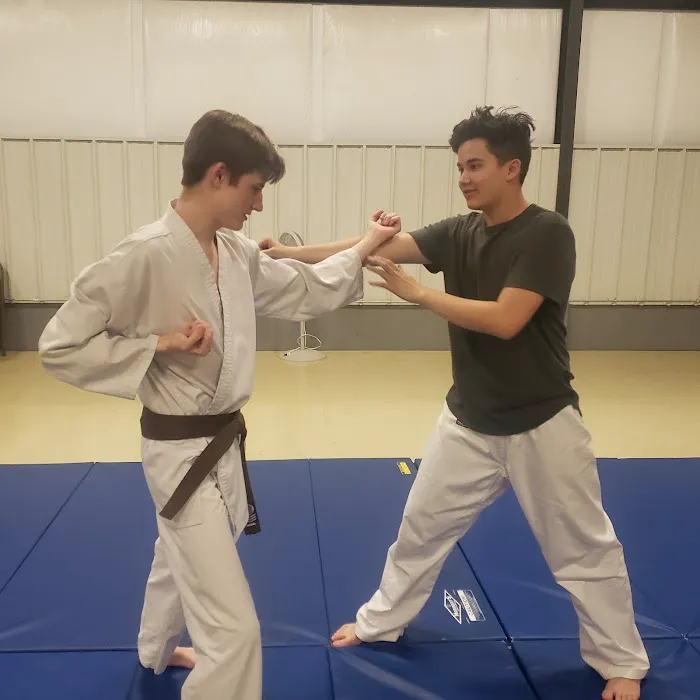 Idaho Falls Shoshin Ryu Martial Arts Picture 8
