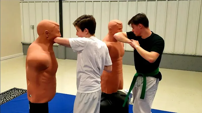 Idaho Falls Shoshin Ryu Martial Arts Picture 4