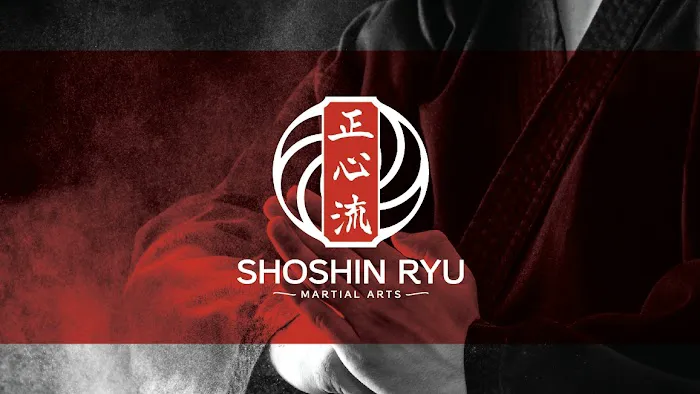 Idaho Falls Shoshin Ryu Martial Arts Picture 7