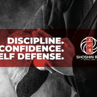 Idaho Falls Shoshin Ryu Martial Arts ico