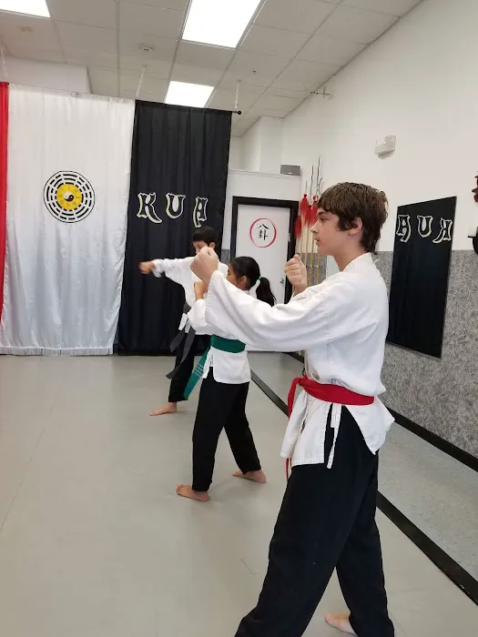 Pakua Martial Arts Picture 6