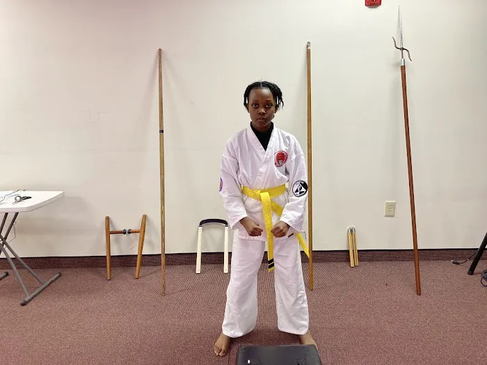 Omega Karate Academy Picture 9