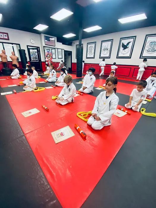 USSD Karate Irvine - Woodbridge Picture 2